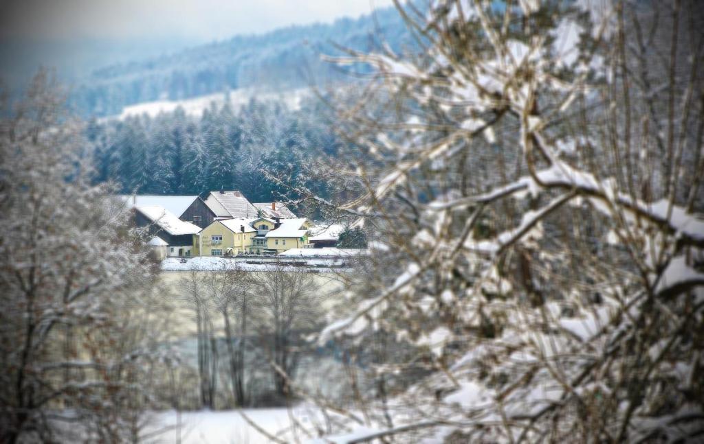 Hotel Der Seehof Hauzenberg Exterior foto